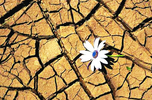 الجفاف العاطفي